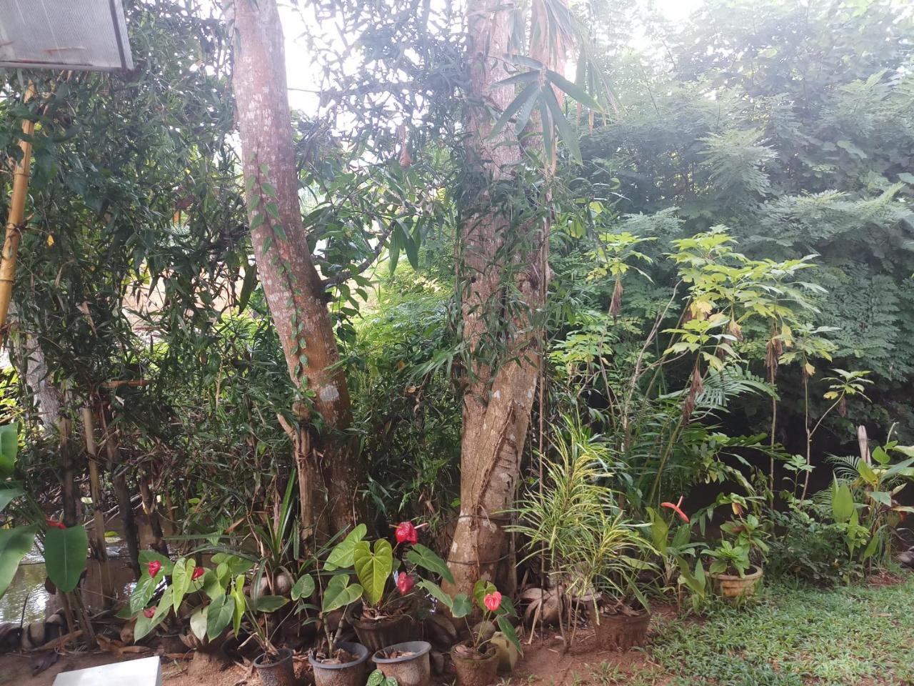 Lakvilla Hikkaduwa Buitenkant foto